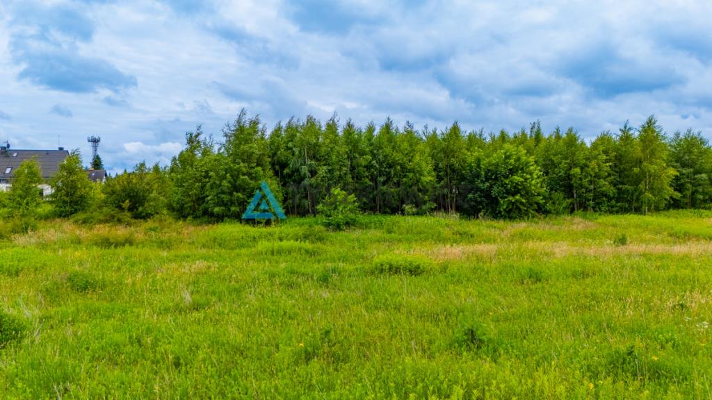 IDEALNA DZIAŁKA INWESTYCYJNA POD DEWELOPERA - zdjęcie 11
