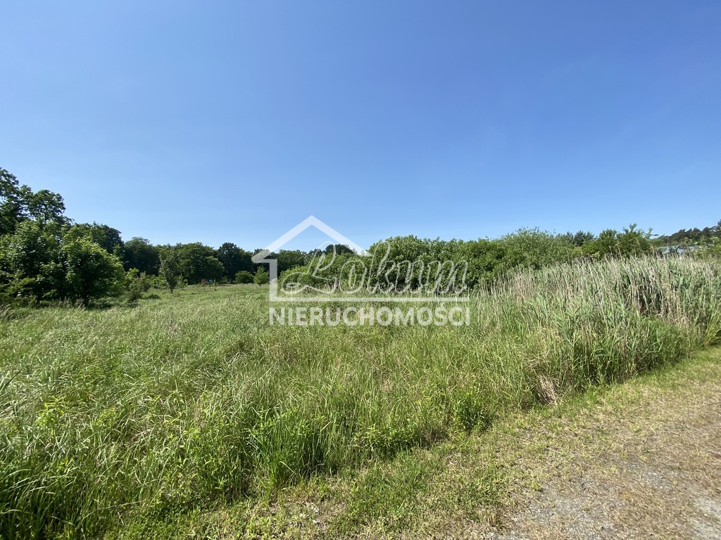 Działka rolna 1079 m², Kościno - zdjęcie 8