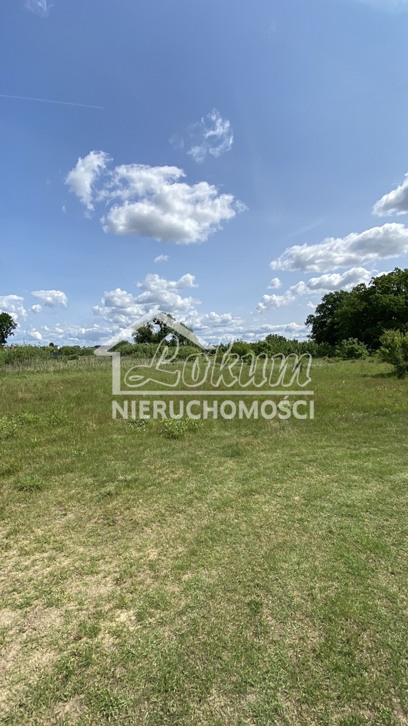 Działka rolna 1,23 ha, Kościno - zdjęcie 3