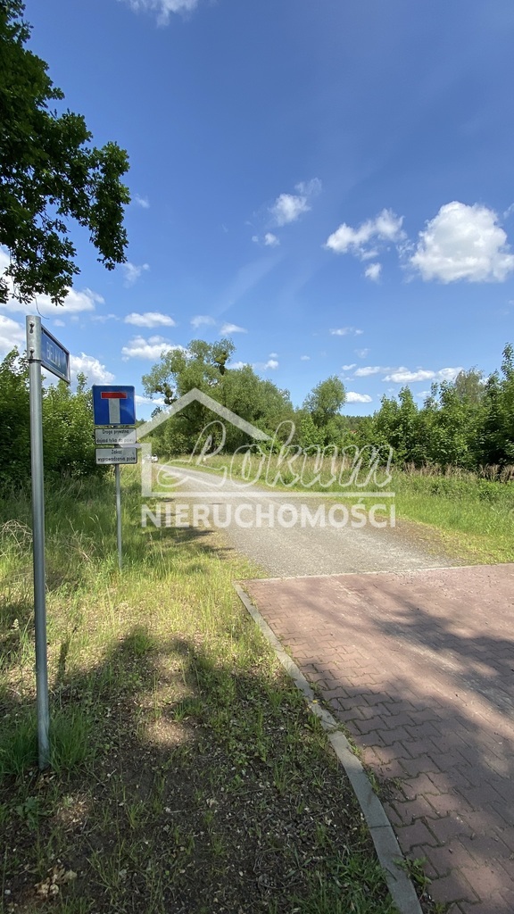 Działka rolna 1,23&nbsp;ha, Kościno - zdjęcie 4