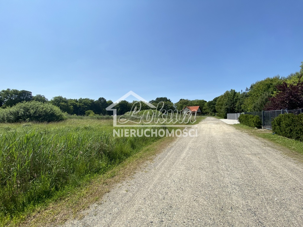 Działka rolna 1,23&nbsp;ha, Kościno - zdjęcie 6