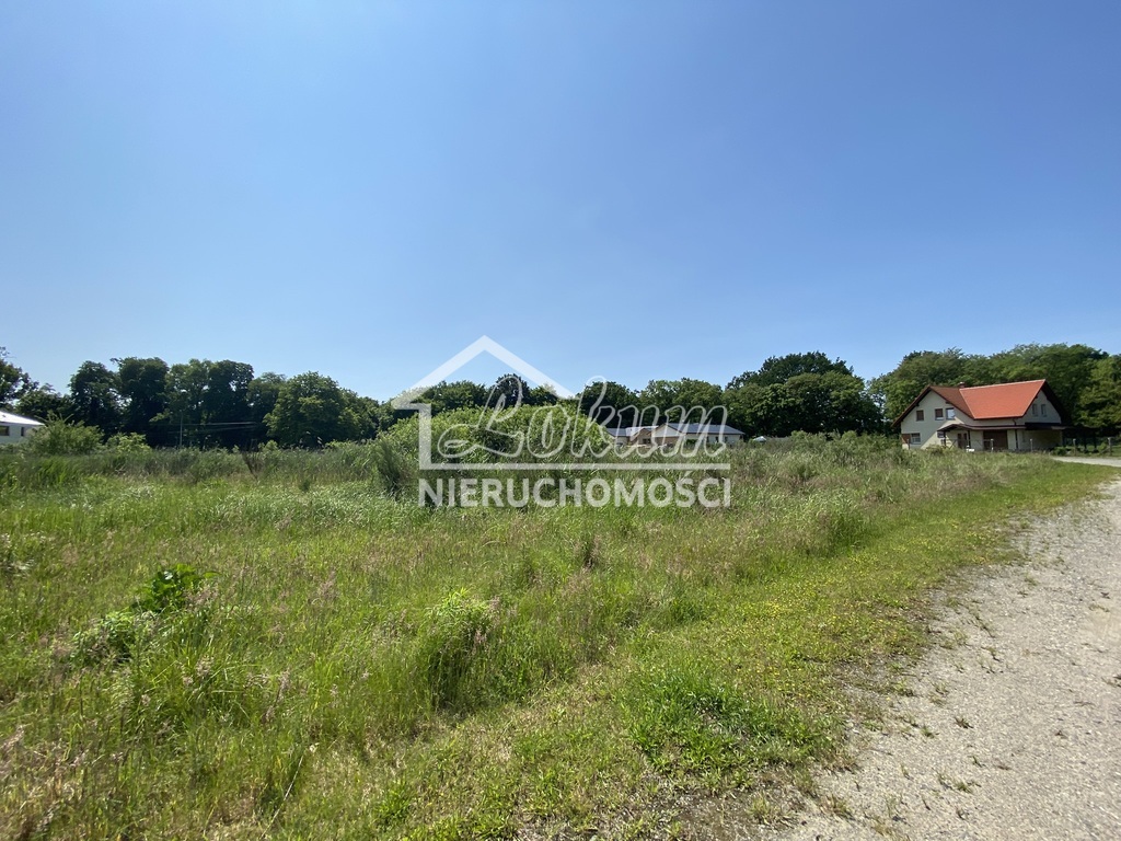 Działka rolna 1,23 ha, Kościno - zdjęcie 8