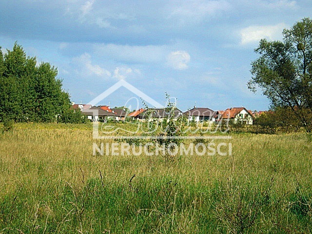 Działka rolna 834&nbsp;m², Kościno - zdjęcie 5