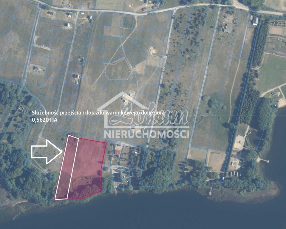 Działka rolna 1,63&nbsp;ha, Lubieszewo - zdjęcie 14