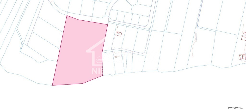 Działka rolna 1,63&nbsp;ha, Lubieszewo - zdjęcie 13