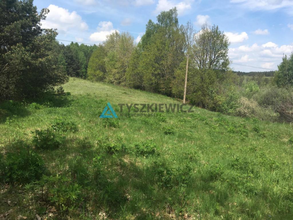 Działka Skorzewo 4,62 ha - zdjęcie 9