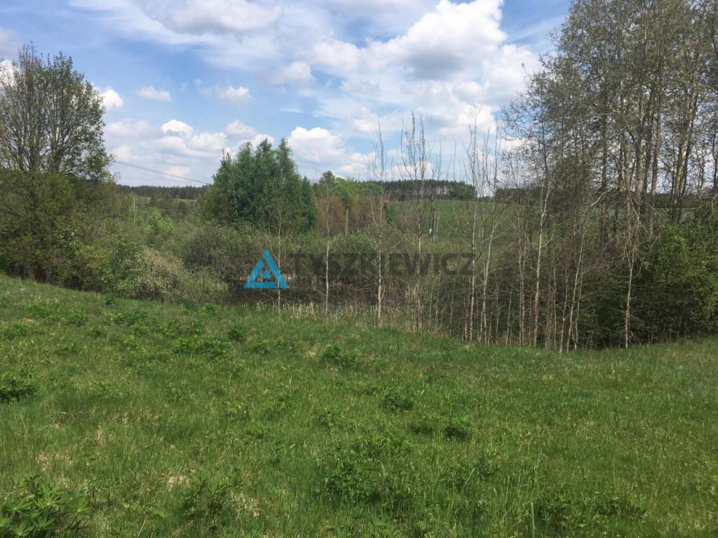 Działka Skorzewo 4,62 ha - zdjęcie 3