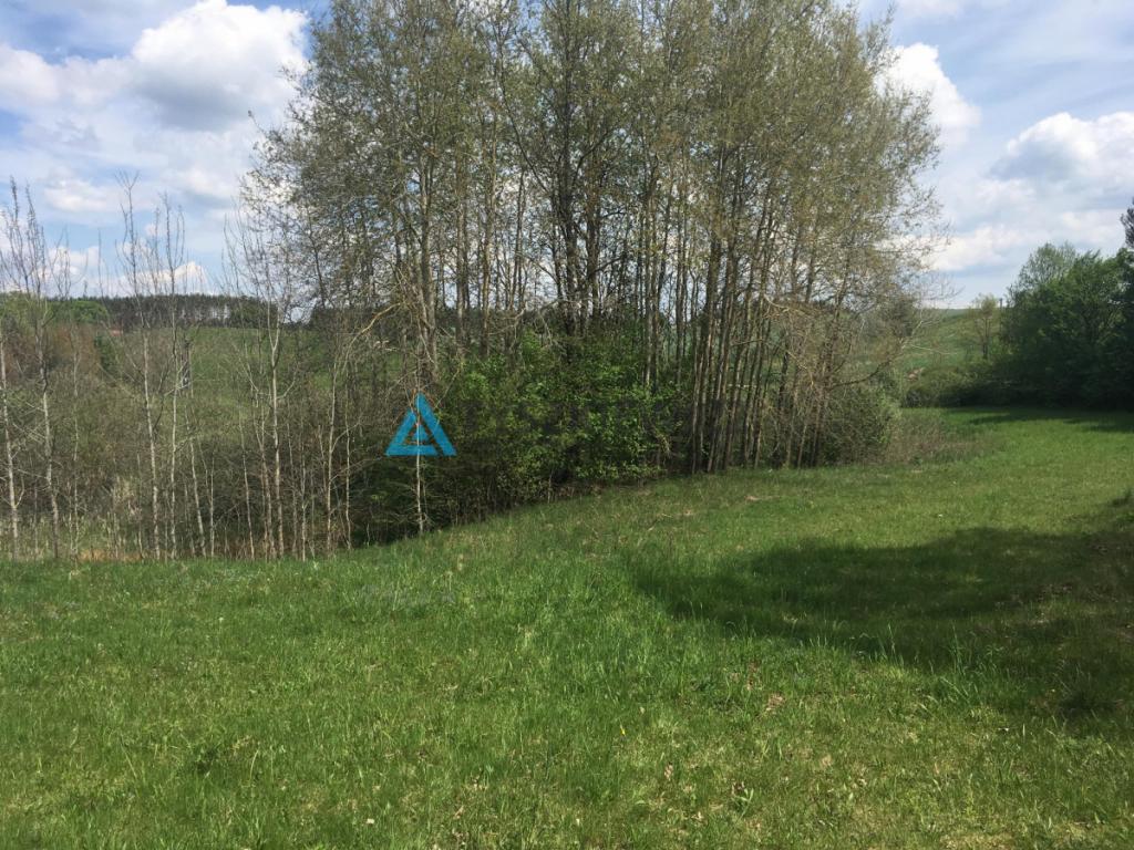 Działka Skorzewo 4,62 ha - zdjęcie 7
