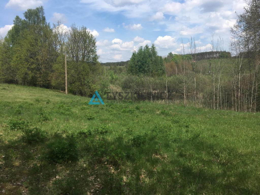 Działka Skorzewo 4,62 ha - zdjęcie 4