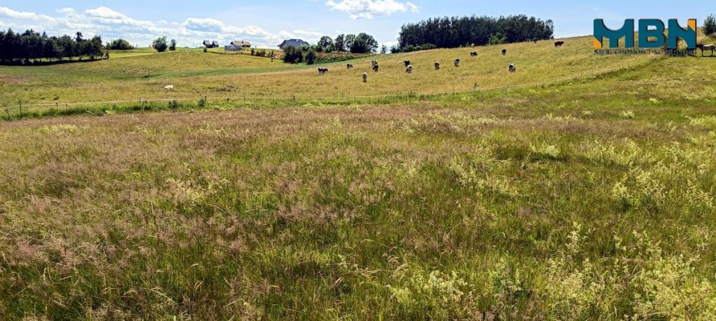 Działka rolna 3028&nbsp;m², Miłki - zdjęcie 14