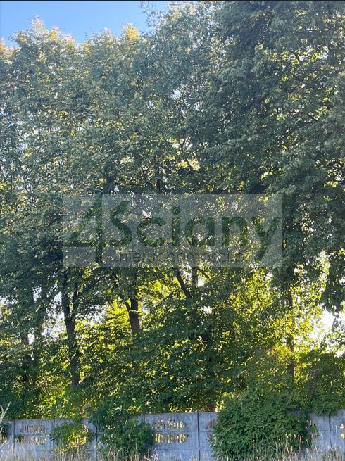 Działka budowlana 1193&nbsp;m², Stefanowo - zdjęcie 7