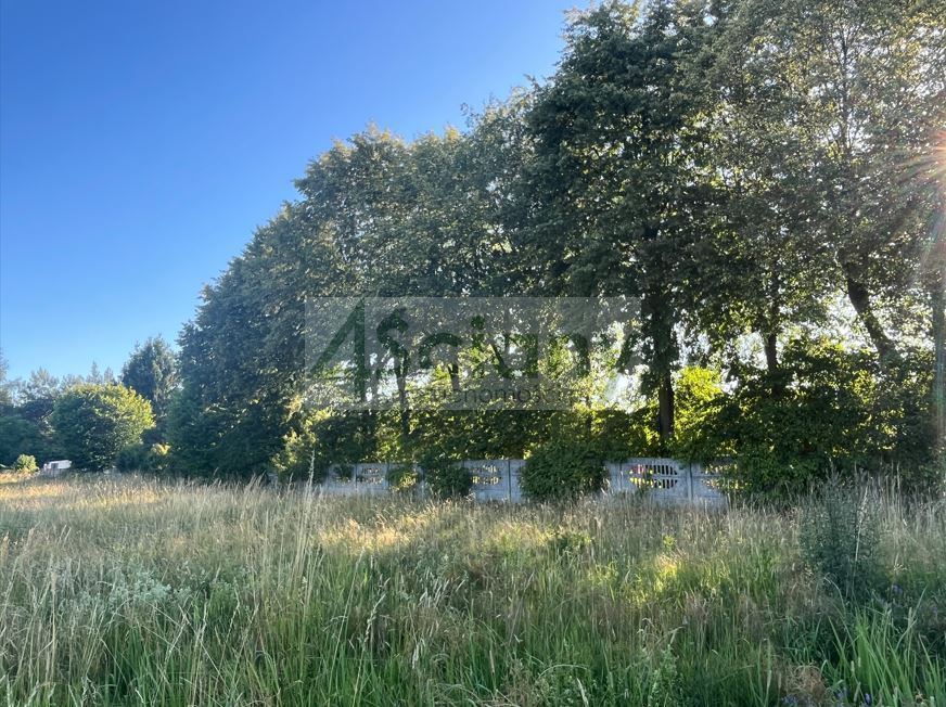 Działka budowlana 1193&nbsp;m², Stefanowo - zdjęcie 3