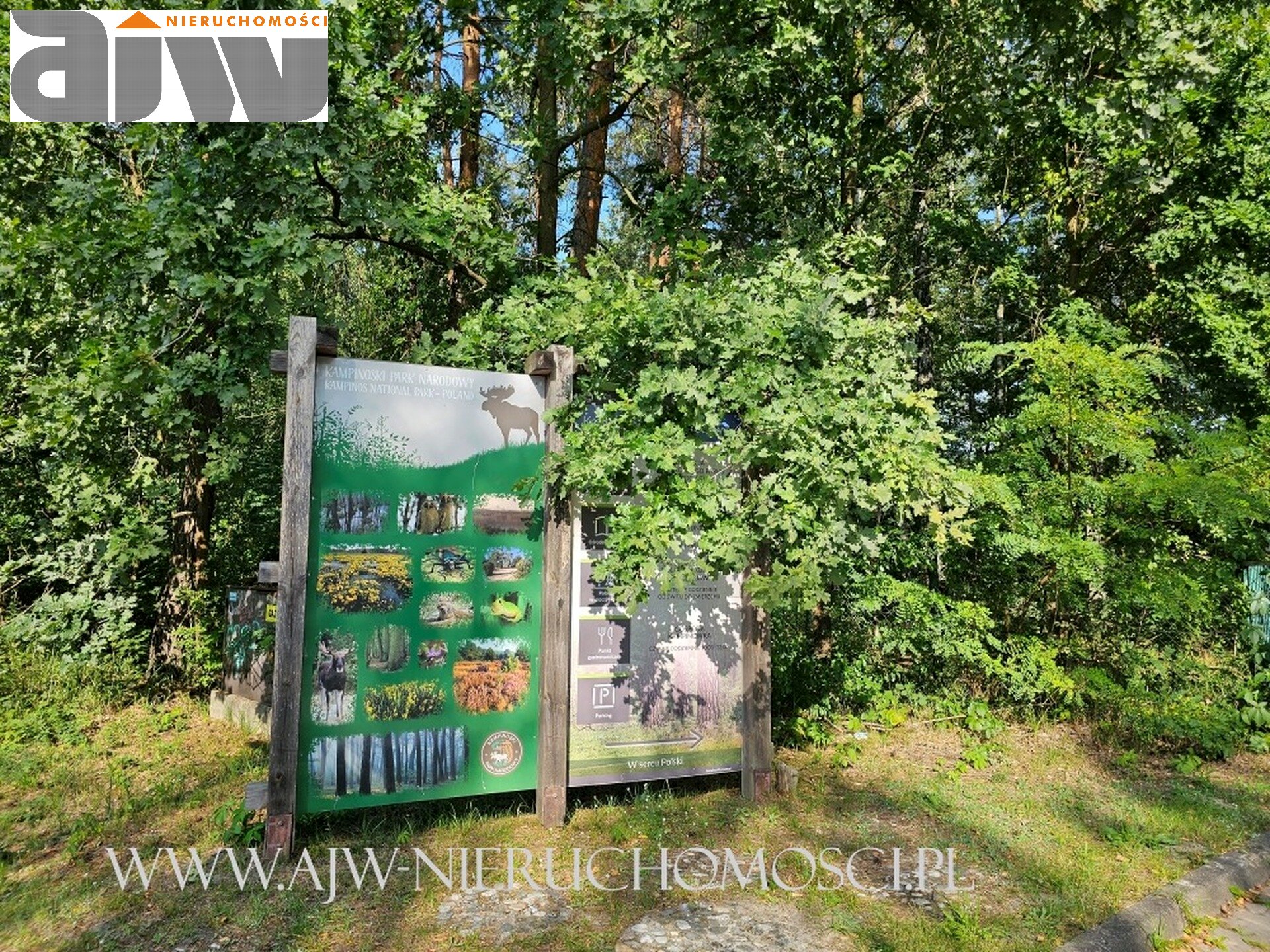 Działka budowlana Izabelin C pow. 1330 m2 - zdjęcie 6