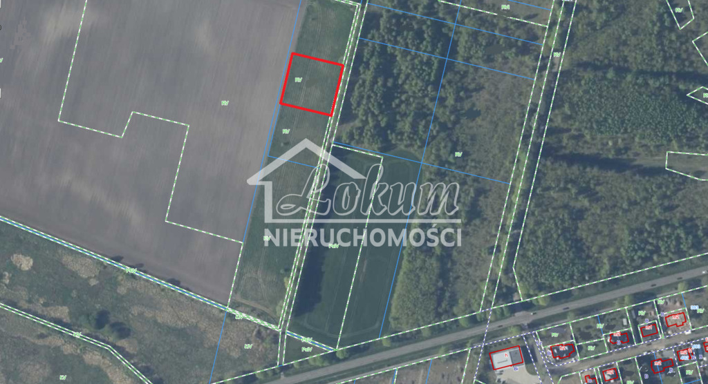 Działka rolna 3100&nbsp;m², Kobylanka - zdjęcie 2