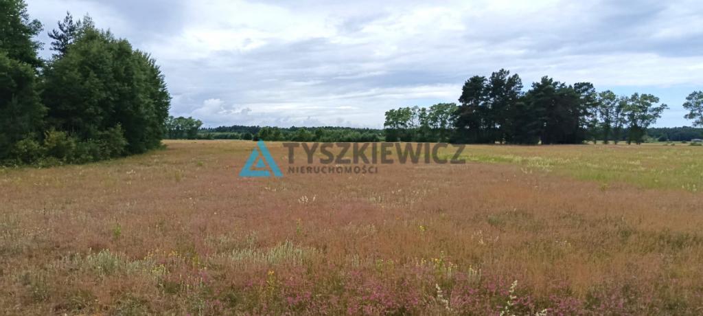 Malownicza działka w atrakcyjnej lokalizacji - zdjęcie 4
