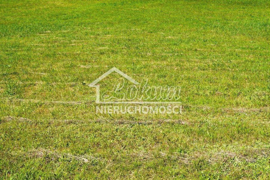 Działka budowlana 1996 m², Szczecin - zdjęcie 5