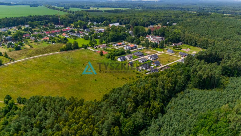 1,5 hektara z wydanym planem zagospodarowania - zdjęcie 2