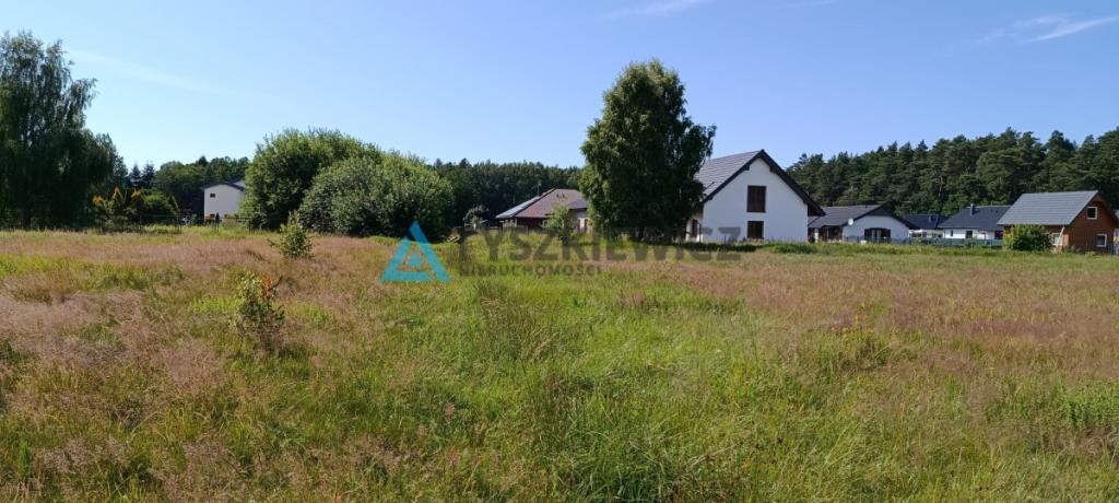 1,5 hektara z wydanym planem zagospodarowania - zdjęcie 10