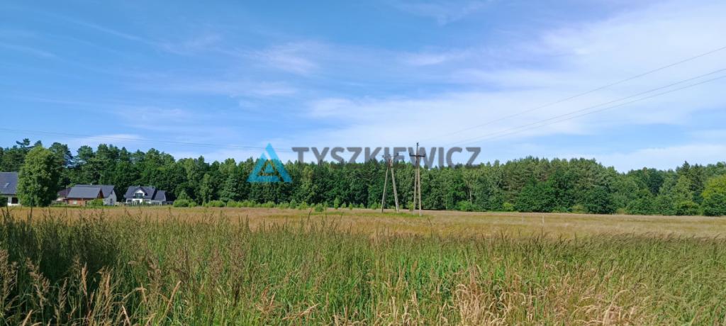 1,5 hektara z wydanym planem zagospodarowania - zdjęcie 6