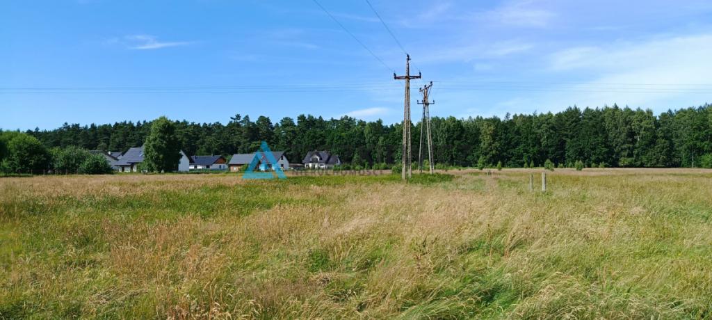 1,5 hektara z wydanym planem zagospodarowania - zdjęcie 9