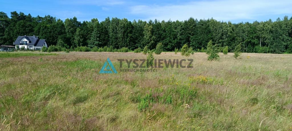 1,5 hektara z wydanym planem zagospodarowania - zdjęcie 12