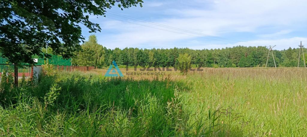 1,5 hektara z wydanym planem zagospodarowania - zdjęcie 5