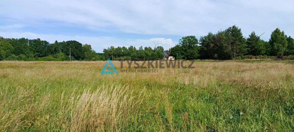 1,5 hektara z wydanym planem zagospodarowania - zdjęcie 7