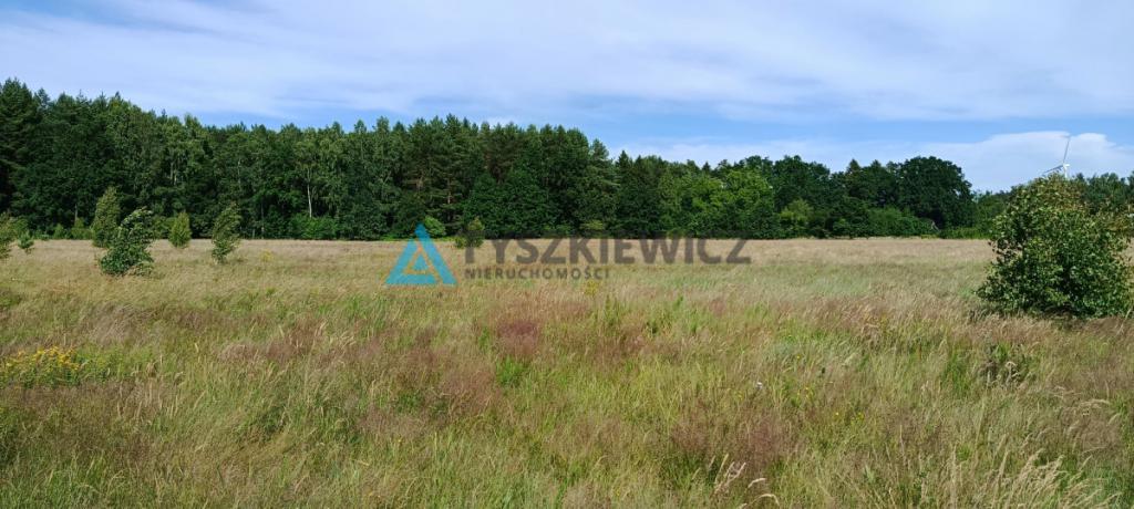 1,5 hektara z wydanym planem zagospodarowania - zdjęcie 13