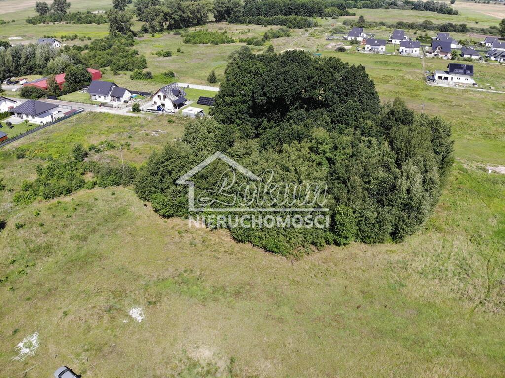 Działka budowlana 5874&nbsp;m², Kliniska Wielkie - zdjęcie 6