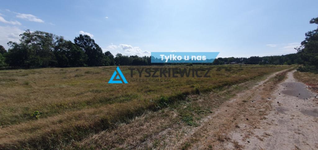 Smołdziński Las działka inwestycyjna - zdjęcie 1