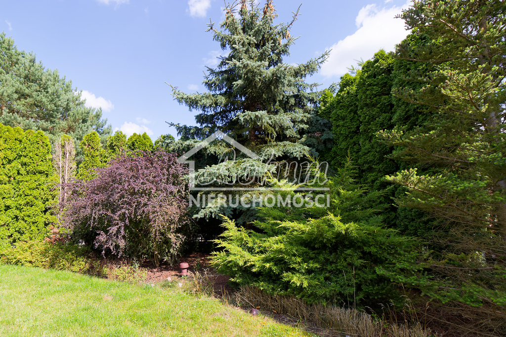 Dom 154&nbsp;m², Kłodawa, Zacisze - zdjęcie 18