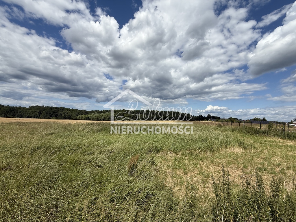 Działka rolna 1700&nbsp;m², Przęsocin - zdjęcie 1