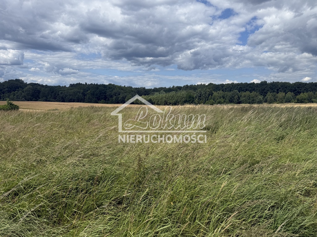 Działka rolna 1700&nbsp;m², Przęsocin - zdjęcie 3
