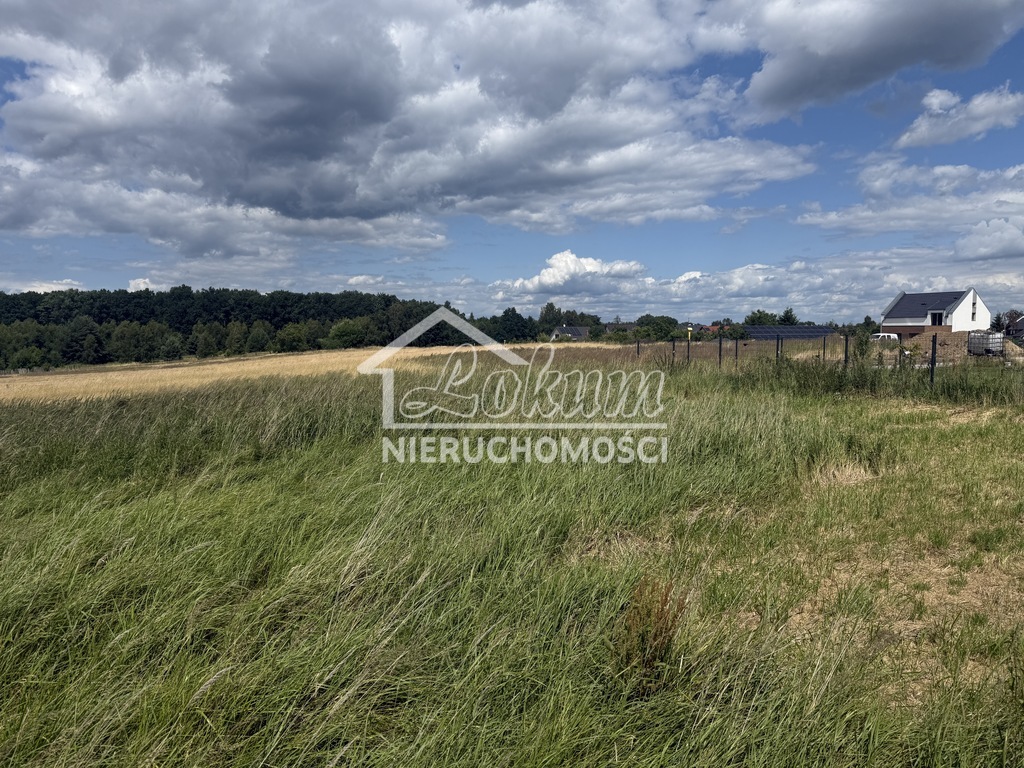 Działka rolna 1700&nbsp;m², Przęsocin - zdjęcie 2