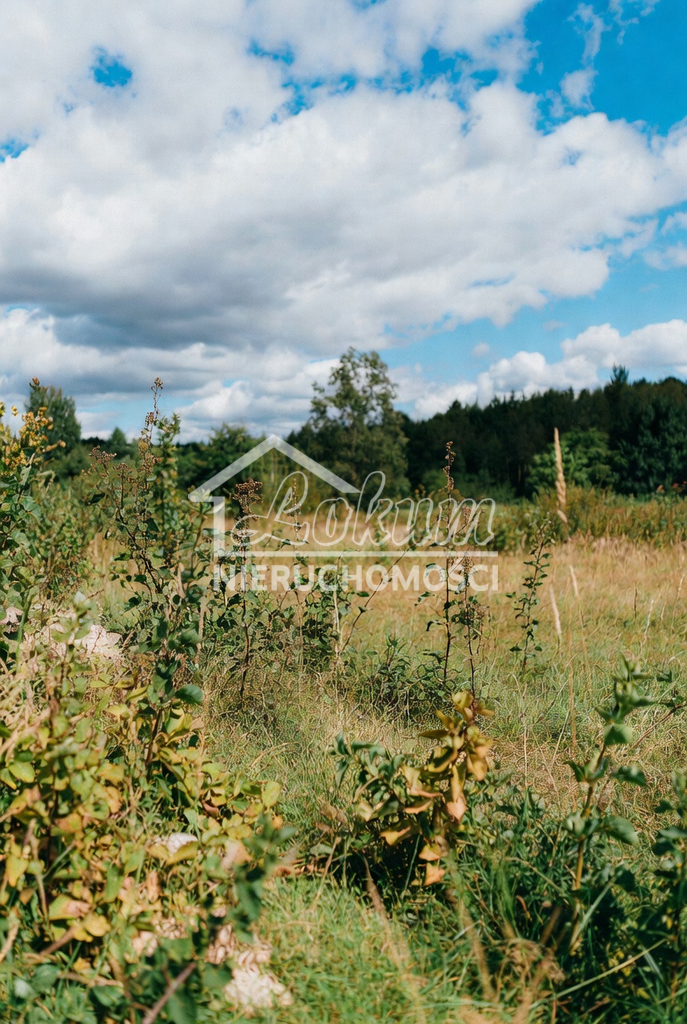 Działka budowlana 3102&nbsp;m², Niewiadowo - zdjęcie 2