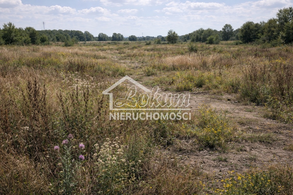 Działka budowlana 3102&nbsp;m², Niewiadowo - zdjęcie 3