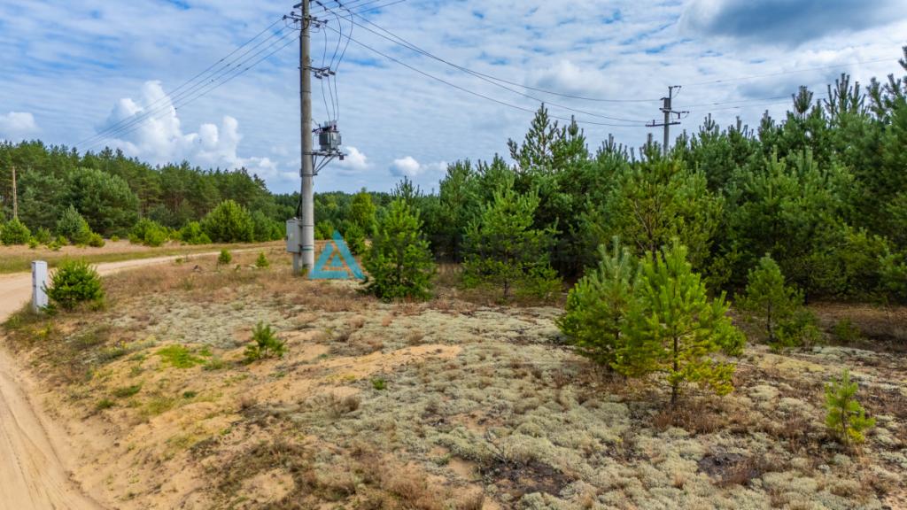 DZIAŁKA W ZBRZYCY - 3173 m² | MEDIA W DRODZE - zdjęcie 9