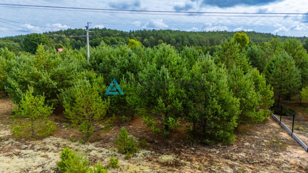 DZIAŁKA W ZBRZYCY - 3173 m² | MEDIA W DRODZE - zdjęcie 3