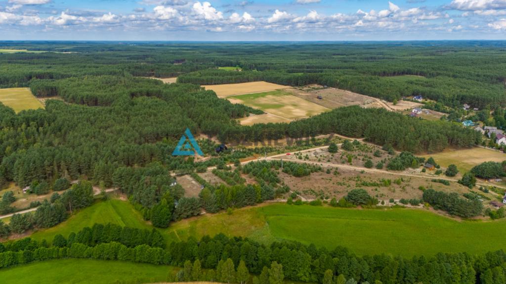DZIAŁKA W ZBRZYCY - 3173 m² | MEDIA W DRODZE - zdjęcie 8