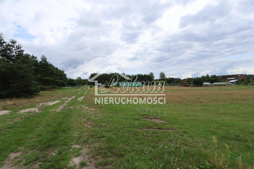 Działka rolna 2400 m², Wierzchosław - zdjęcie 5
