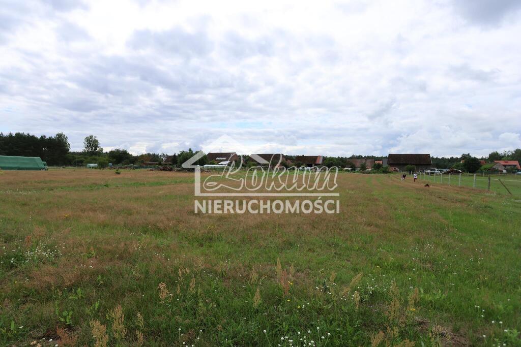 Działka rolna 2400 m², Wierzchosław - zdjęcie 6
