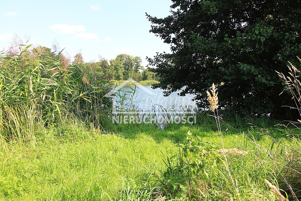 Dom 120&nbsp;m², Objezierze - zdjęcie 4