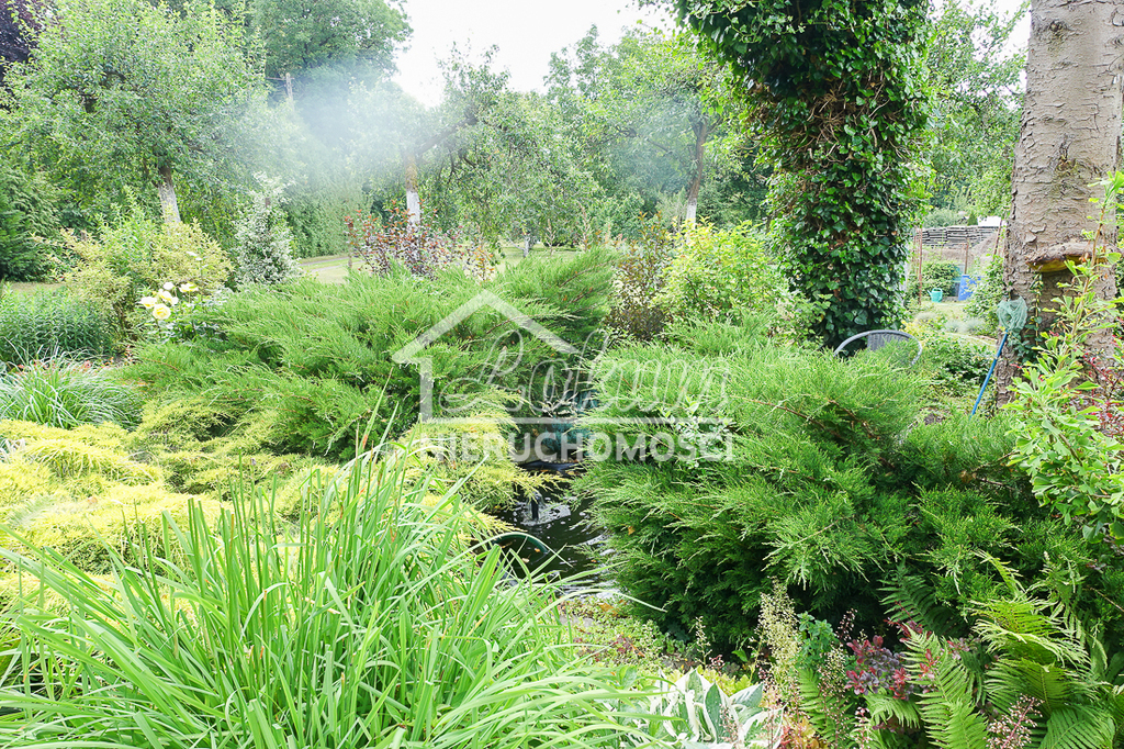 Dom 300&nbsp;m², Stargard - zdjęcie 17