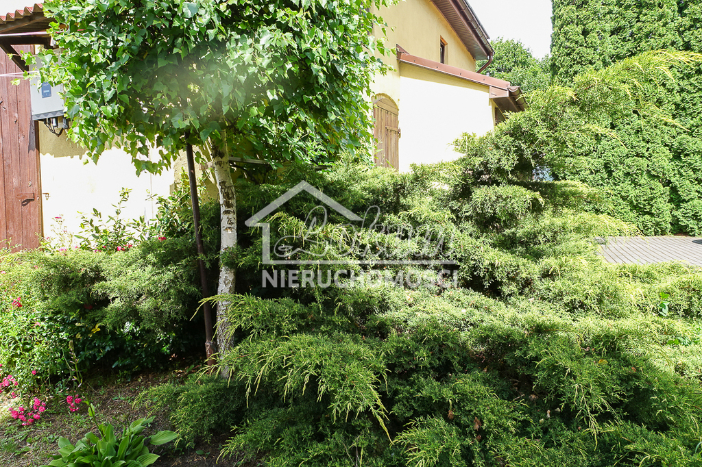 Dom 300&nbsp;m², Stargard - zdjęcie 10