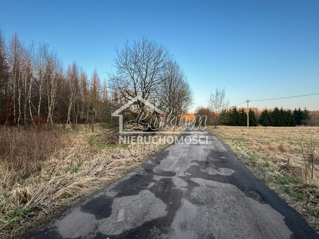 Działka rolna 903&nbsp;m², Błotno - zdjęcie 1