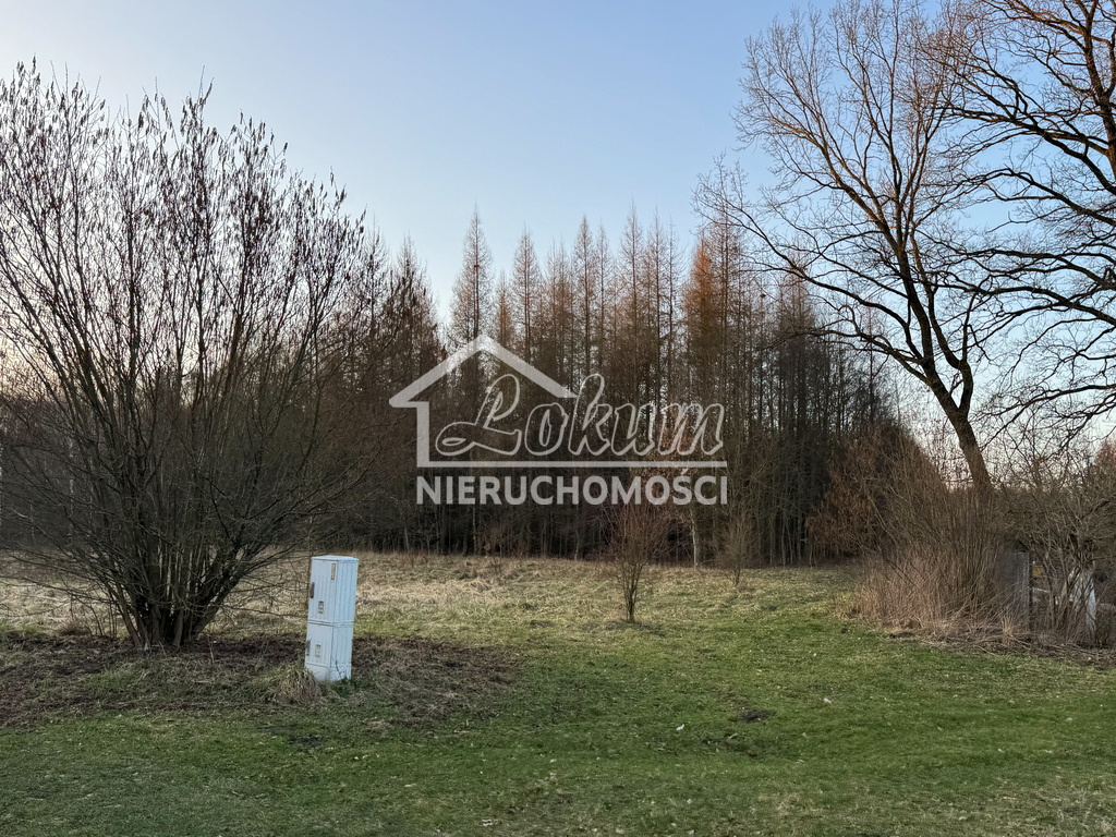 Działka rolna 903&nbsp;m², Błotno - zdjęcie 5