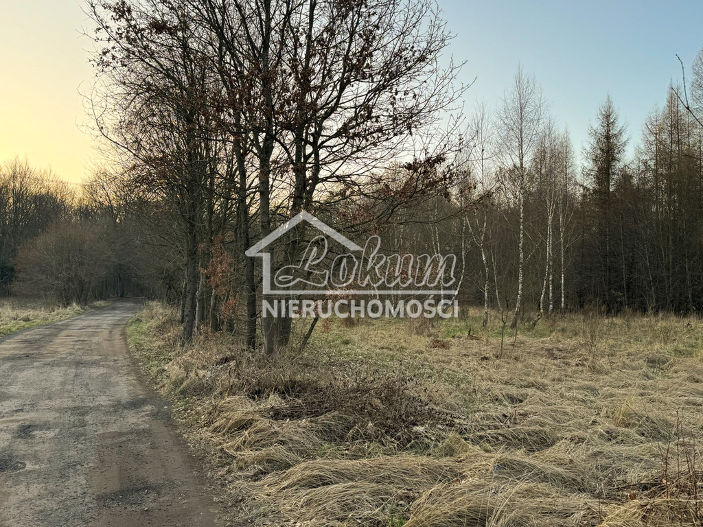 Działka rolna 903&nbsp;m², Błotno - zdjęcie 4