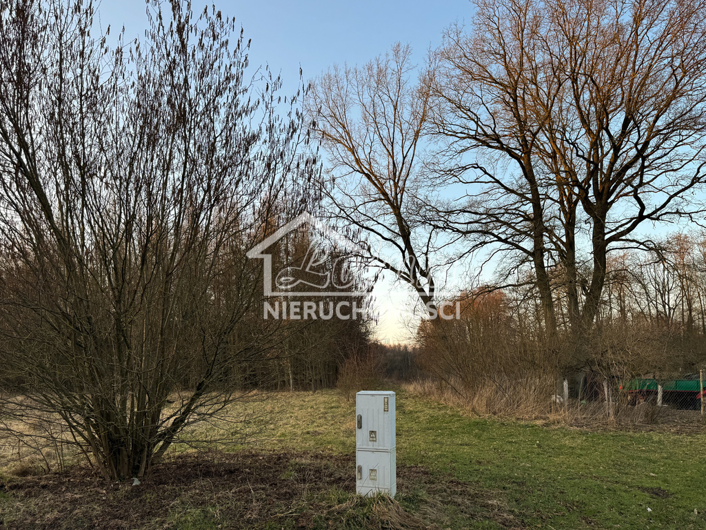 Działka rolna 903&nbsp;m², Błotno - zdjęcie 6