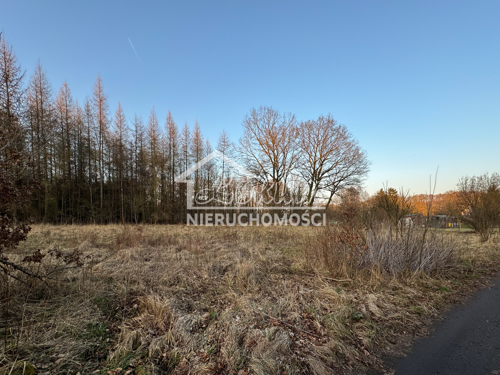 Działka rolna 903&nbsp;m², Błotno - zdjęcie 2