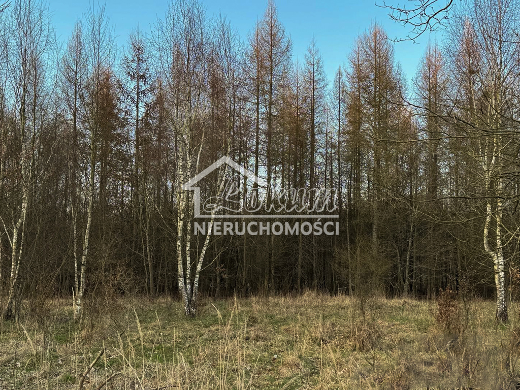 Działka rolna 903&nbsp;m², Błotno - zdjęcie 3